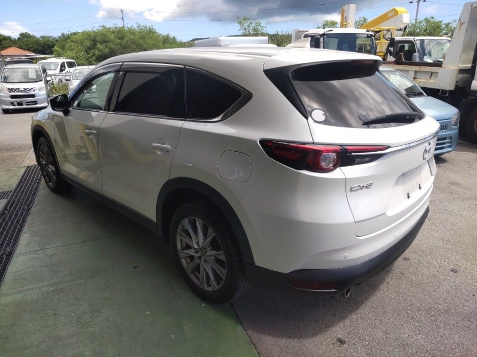 2019 Mazda CX-8 auction photo 6
