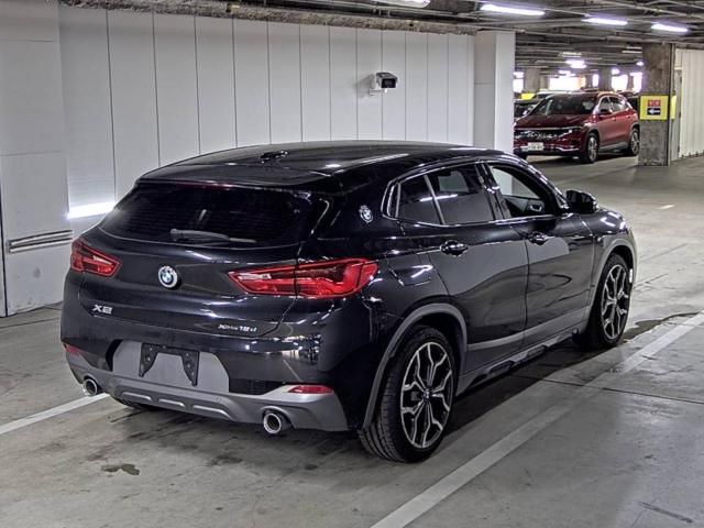2019 BMW BMW X2 xDrive 18d MSP X auction photo 3