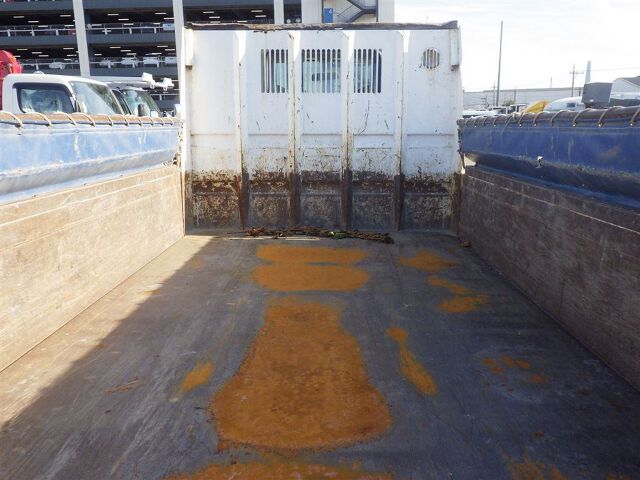 2010 Isuzu Elf dump auction photo 3