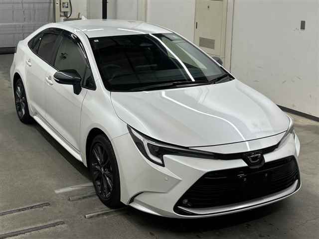 Japan Auction Vehicles 10 2024 Toyota Corolla ダブルバイビー auction photo