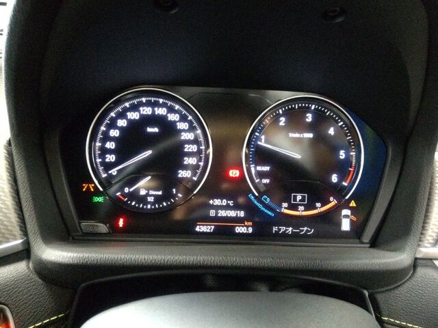 2019 BMW X2 XDRIV18DMスポX 4WD auction photo 6