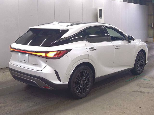 2023 Lexus RX RX350HバージョL auction photo 5