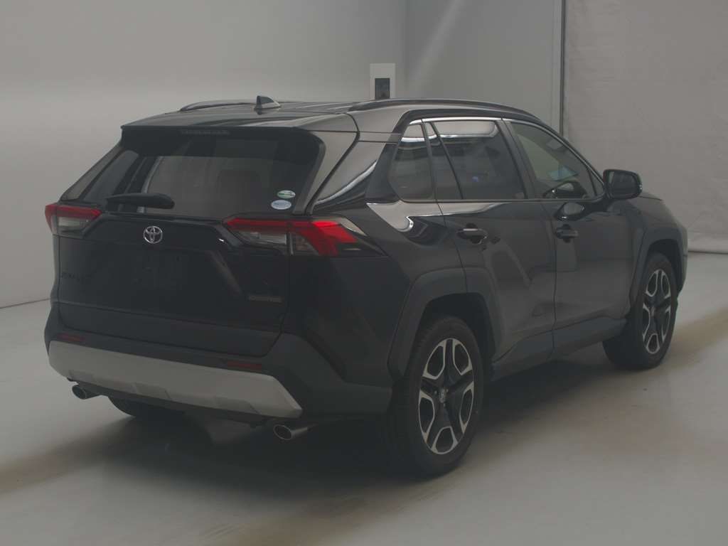 2019 Toyota RAV4 Adventure 4WD auction photo 2