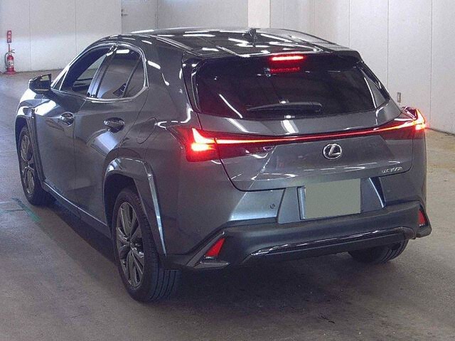 2024 Lexus UX UX300H F Sport auction photo 2