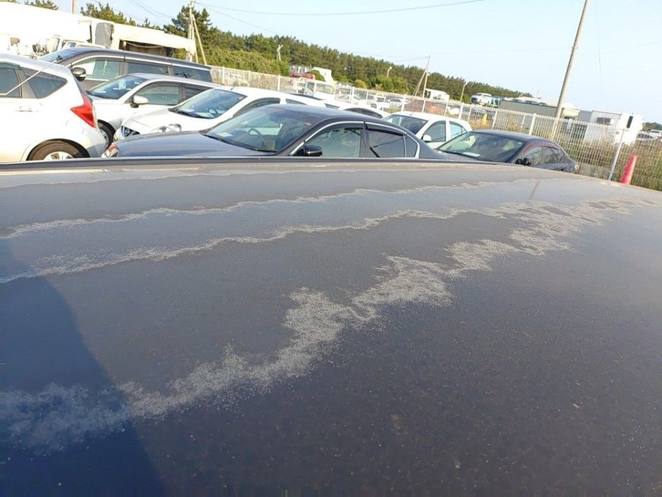 2011 Toyota Succeed auction photo 29