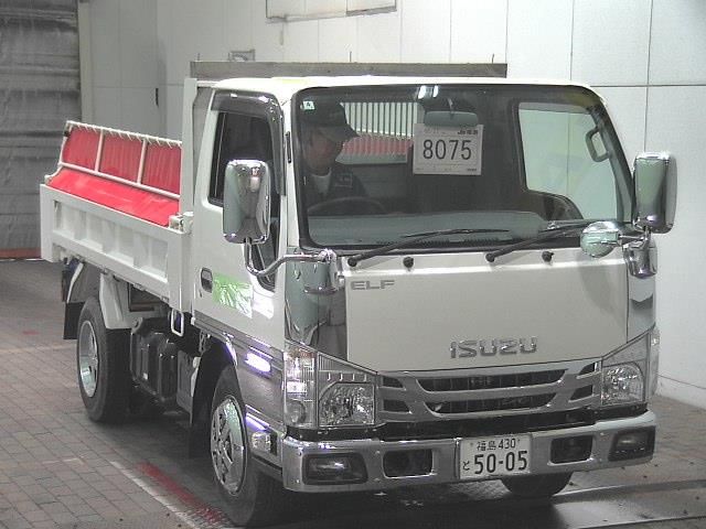 2018 Isuzu Elf Koushoukyouka F Gate Japan auction vehicle
