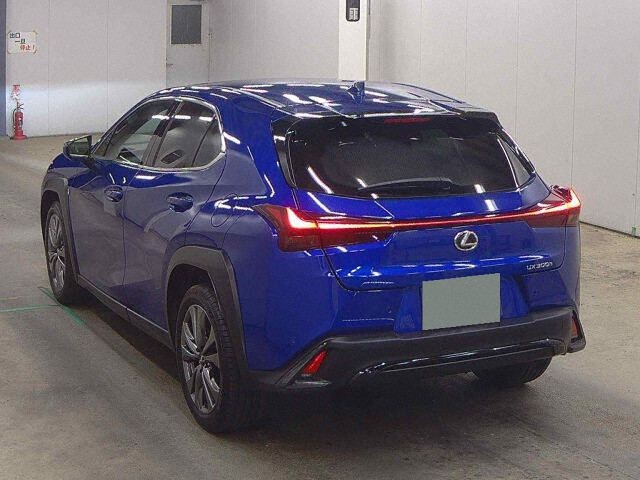 2024 Lexus UX UX300H F Sport auction photo 2
