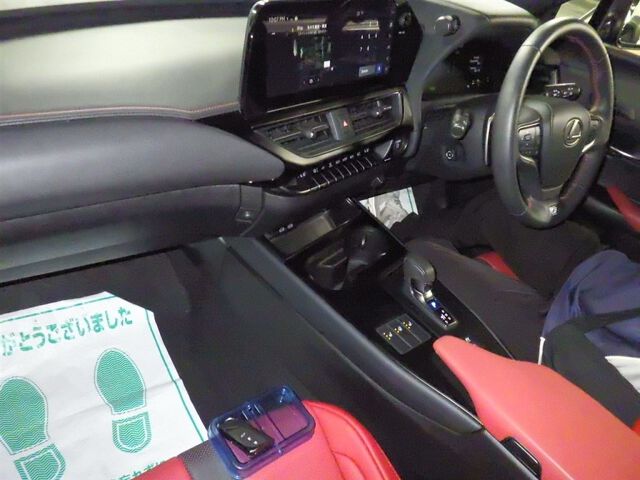 2024 Lexus UX UX300H F Sport auction photo 3