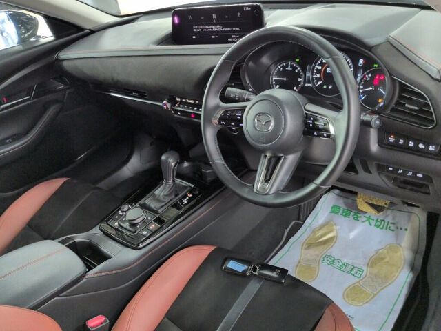 2024 Mazda CX-30 XD Retro Sports ED auction photo 3