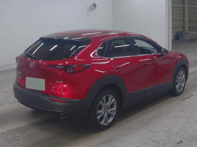 2023 Mazda CX-30 20S ProActsrinse auction photo 5