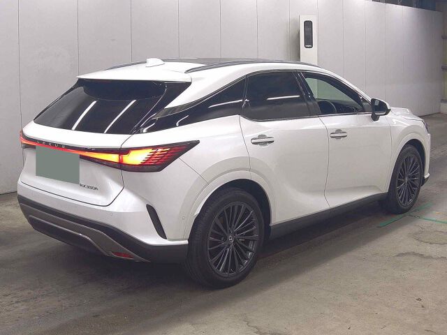 2024 Lexus RX RX350H Version L auction photo 5