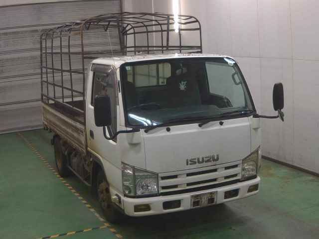 2010 Isuzu Elf Japan auction vehicle