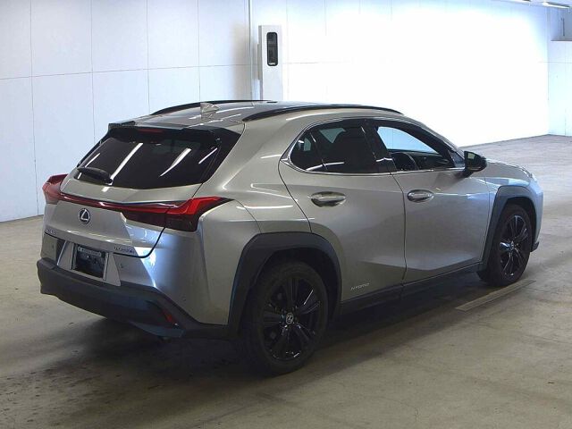 2021 Lexus UX UX250H Urban Ele auction photo 5