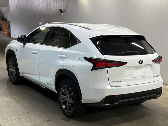 2019 Lexus NX NX300h Fスポーツ auction photo 3