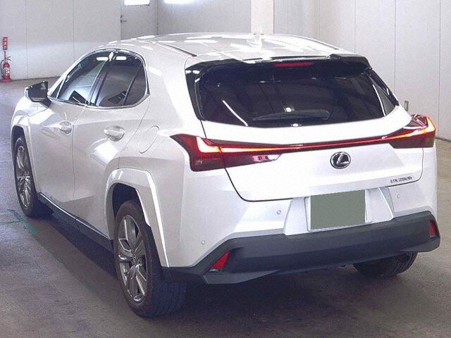 2023 Lexus UX UX250Hグレースフル auction photo 2