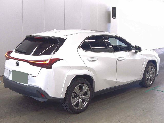 2023 Lexus UX UX250Hグレースフル auction photo 5